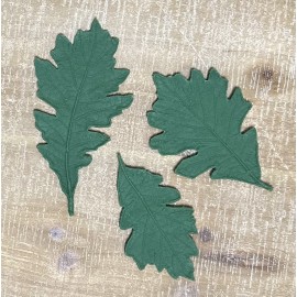 Small Oak Leaves (Set of 3) Small Oak Leaves (Set of 3)